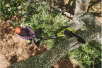 RYOBI 18V ONE+™ 20cm prerezávacia píla a 45cm nožnice na živý plot OPP1820PT1845-0