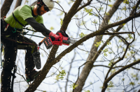 Milwaukee aku prerezávacia píla 20cm M18 FHS20-0